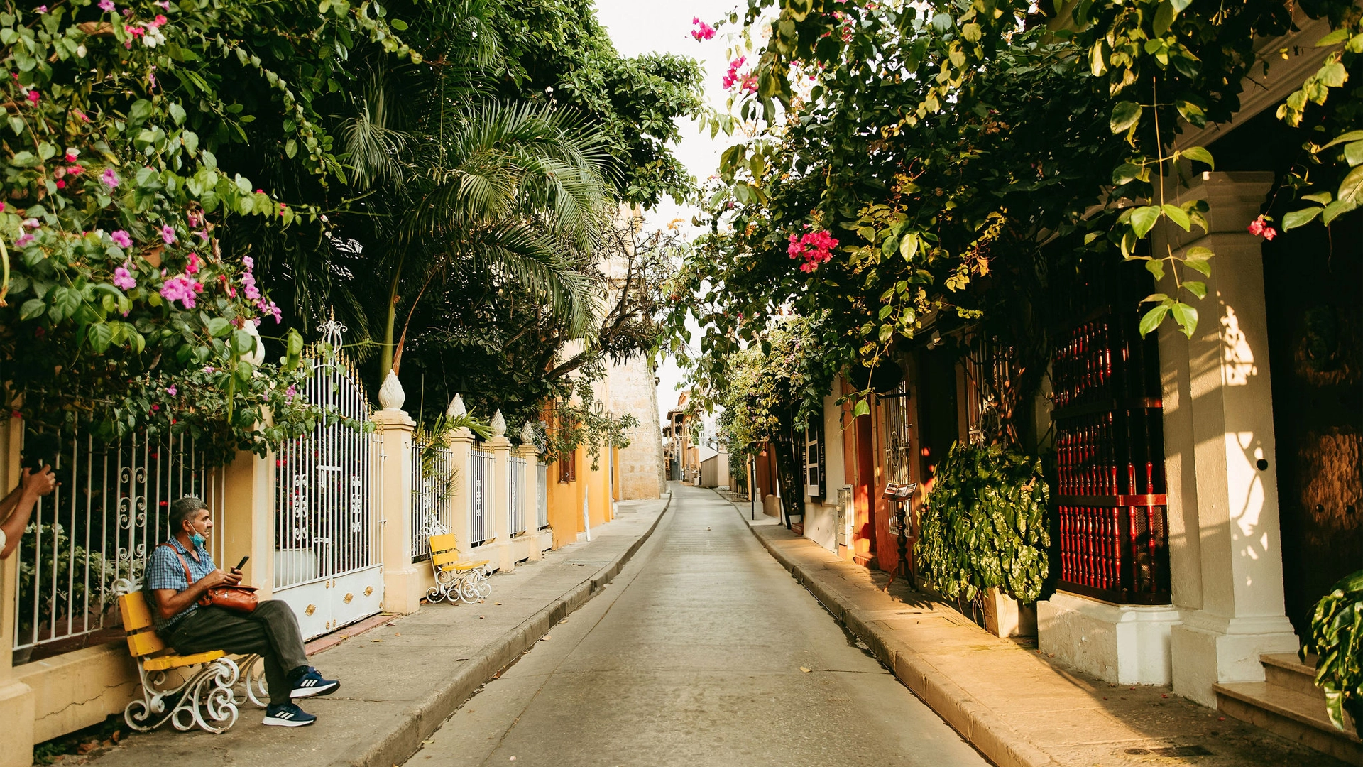 casass coloridas y flores de cartagena